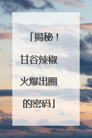 揭秘！甘谷辣椒火爆出圈的密码