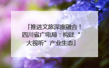 推进文旅深度融合！四川省广电局：构建“大视听”产业生态