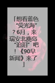 想看蓝色“荧光海”？6月，来瑞安北麂岛“追泪”吧！《90早新闻》来了