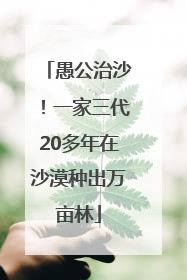 愚公治沙！一家三代20多年在沙漠种出万亩林
