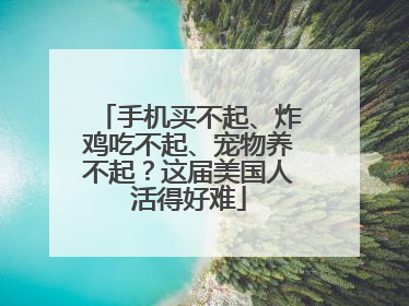 手机买不起、炸鸡吃不起、宠物养不起？这届美国人活得好难