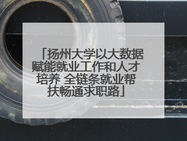 扬州大学以大数据赋能就业工作和人才培养 全链条就业帮扶畅通求职路
