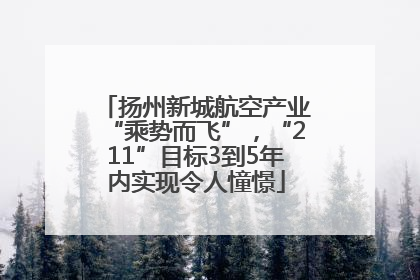 扬州新城航空产业“乘势而飞”，“211”目标3到5年内实现令人憧憬