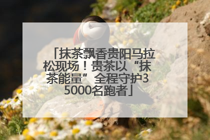 抹茶飘香贵阳马拉松现场！贵茶以“抹茶能量”全程守护35000名跑者