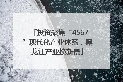 投资聚焦“4567”现代化产业体系，黑龙江产业换新景