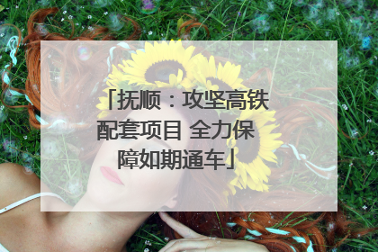 抚顺：攻坚高铁配套项目 全力保障如期通车