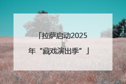 拉萨启动2025年“藏戏演出季”
