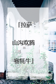 拉萨：山沟欢腾赛牦牛
