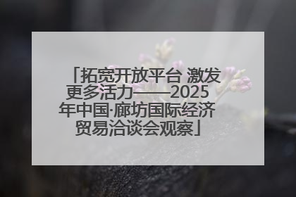 拓宽开放平台 激发更多活力——2025年中国·廊坊国际经济贸易洽谈会观察