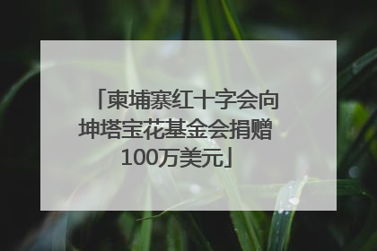 柬埔寨红十字会向坤塔宝花基金会捐赠100万美元