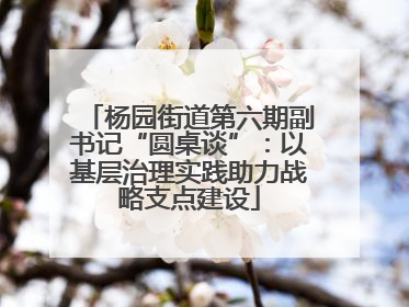 杨园街道第六期副书记“圆桌谈”：以基层治理实践助力战略支点建设