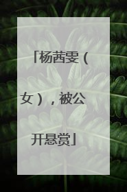 杨茜雯（女），被公开悬赏
