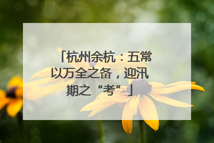 杭州余杭：五常以万全之备，迎汛期之“考”