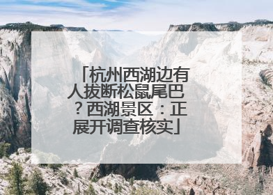 杭州西湖边有人拔断松鼠尾巴？西湖景区：正展开调查核实
