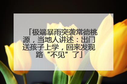 极端暴雨突袭常德桃源，当地人讲述：出门送孩子上学，回来发现路“不见”了