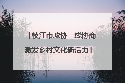 枝江市政协一线协商激发乡村文化新活力