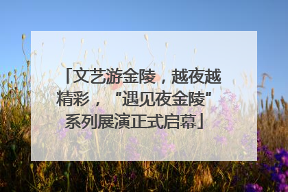 文艺游金陵，越夜越精彩，“遇见夜金陵”系列展演正式启幕
