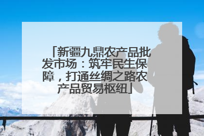 新疆九鼎农产品批发市场：筑牢民生保障，打通丝绸之路农产品贸易枢纽