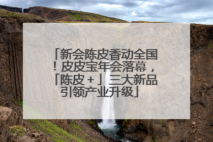 新会陈皮香动全国！皮皮宝年会落幕，「陈皮＋」三大新品引领产业升级