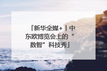 新华全媒+丨中东欧博览会上的“数智”科技秀