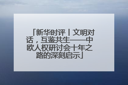 新华时评丨文明对话，互鉴共生——中欧人权研讨会十年之路的深刻启示