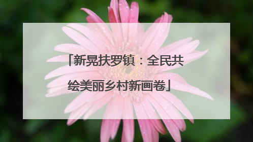 新晃扶罗镇：全民共绘美丽乡村新画卷