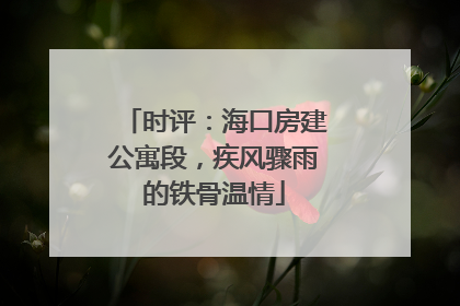 时评：海口房建公寓段，疾风骤雨的铁骨温情