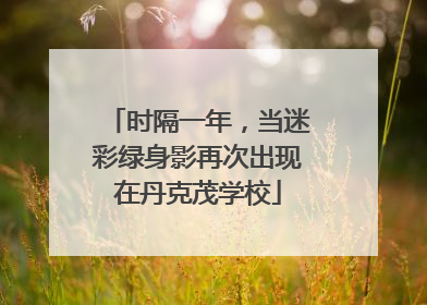 时隔一年，当迷彩绿身影再次出现在丹克茂学校