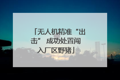 无人机精准“出击” 成功处置闯入厂区野猪