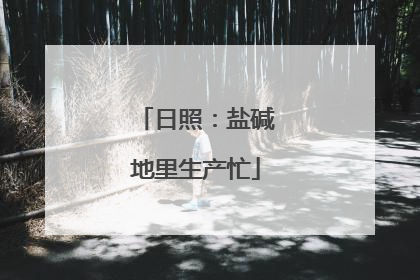 日照：盐碱地里生产忙