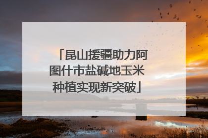 昆山援疆助力阿图什市盐碱地玉米种植实现新突破