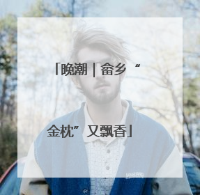 晚潮｜畲乡“金枕”又飘香