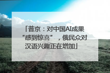 普京：对中国AI成果“感到惊喜”，俄民众对汉语兴趣正在增加