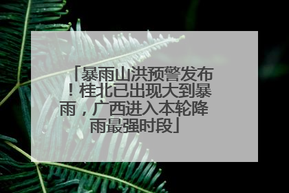 暴雨山洪预警发布！桂北已出现大到暴雨，广西进入本轮降雨最强时段
