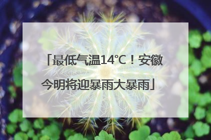 最低气温14℃！安徽今明将迎暴雨大暴雨