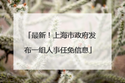 最新！上海市政府发布一组人事任免信息
