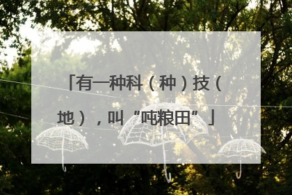 有一种科（种）技（地），叫“吨粮田”