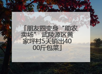 朋友圈变身“助农卖场” 武陵源区黄家坪村5天销出4000斤包菜