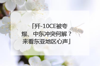 歼-10CE被夸爆、中东冲突何解？来看东亚地区心声
