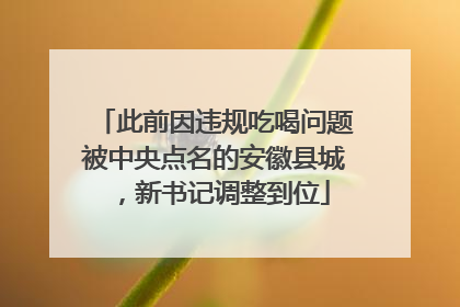 此前因违规吃喝问题被中央点名的安徽县城，新书记调整到位