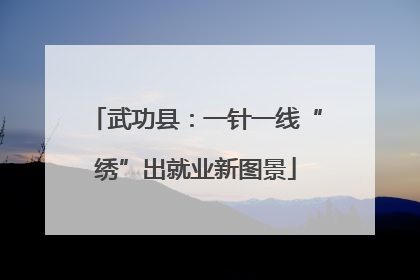 武功县：一针一线“绣”出就业新图景