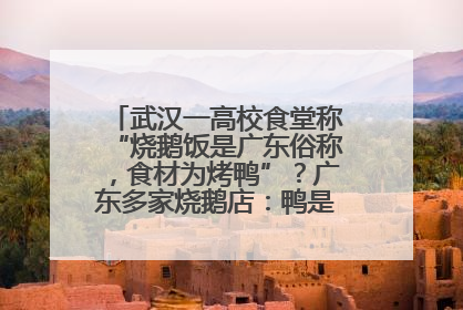 武汉一高校食堂称“烧鹅饭是广东俗称，食材为烤鸭”？广东多家烧鹅店：鸭是鸭鹅是鹅