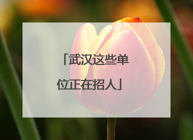 武汉这些单位正在招人
