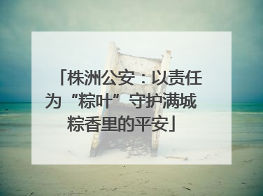 株洲公安：以责任为“粽叶”守护满城粽香里的平安