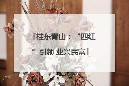 桂东青山：“四红”引领 业兴民富