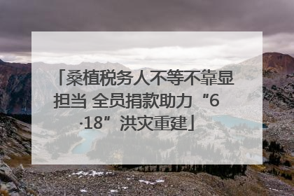桑植税务人不等不靠显担当 全员捐款助力“6·18”洪灾重建