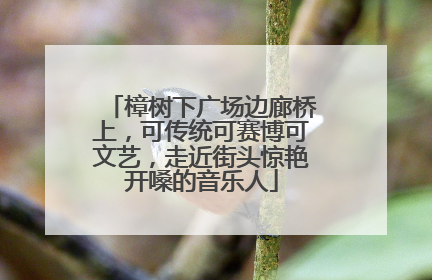 樟树下广场边廊桥上，可传统可赛博可文艺，走近街头惊艳开嗓的音乐人