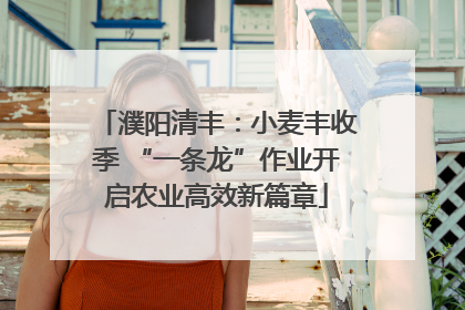 濮阳清丰：小麦丰收季 “一条龙”作业开启农业高效新篇章
