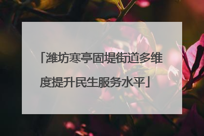 潍坊寒亭固堤街道多维度提升民生服务水平