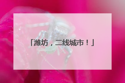 潍坊，二线城市！